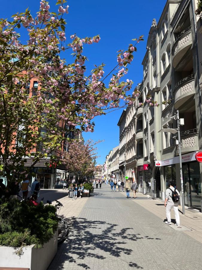 Sloneczny Apartament Centrum Poznania Klimatyzacja Wi-Fi Tv Zmywarka Pralka Piekarnik Exteriör bild